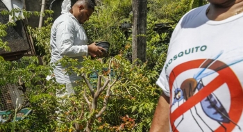 HDT alerta para riscos da dengue e reforça prevenção